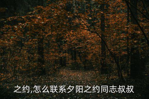 夕阳之约,怎么联系夕阳之约同志叔叔
