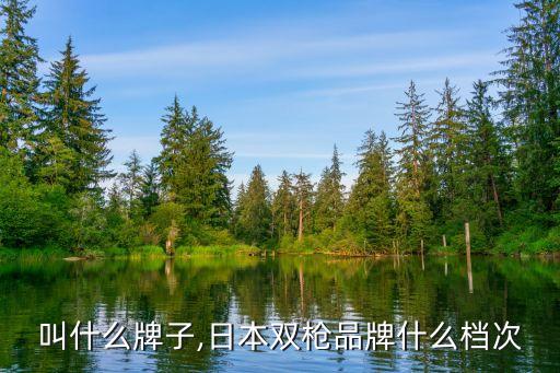 双枪叫什么牌子,日本双枪品牌什么档次?