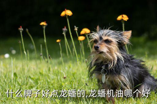 机油什么牌子好点龙蟠的,龙蟠机油哪个好?