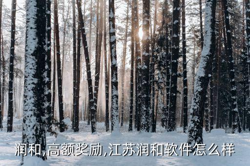 润和,高额奖励,江苏润和软件怎么样