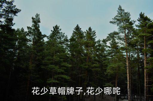 娜扎花少草帽牌子,花少哪咤