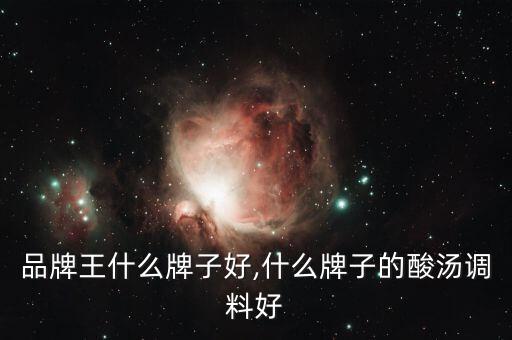 调料品牌王什么牌子好,什么牌子的酸汤调料好?