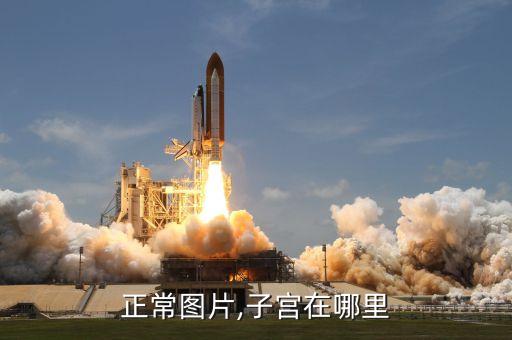 正常图片,子宫在哪里