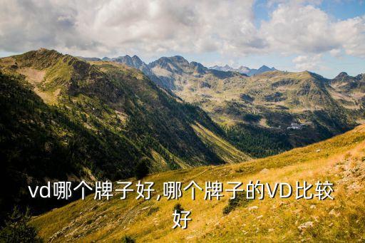 vd哪个牌子好,哪个牌子的VD比较好