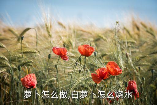 水煮萝卜怎么做,白萝卜怎么烧水?