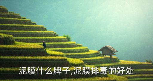泥膜什么牌子,泥膜排毒的好处