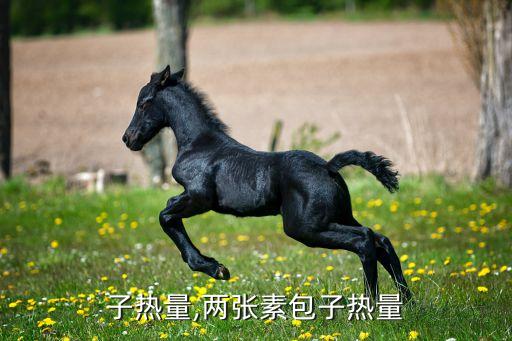 素包子热量,两张素包子热量