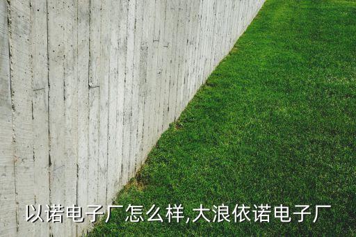 大朗以诺电子厂怎么样,大浪依诺电子厂
