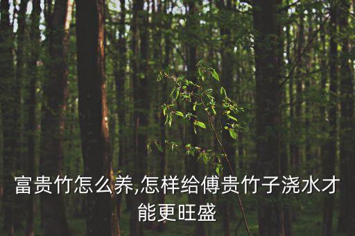 富贵竹怎么养,怎样给傅贵竹子浇水才能更旺盛