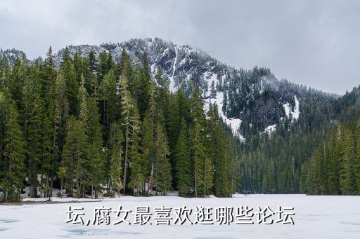 坛,腐女最喜欢逛哪些论坛