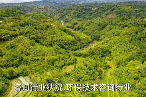 咨询行业状况,环保技术咨询行业