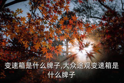 变速箱是什么牌子,大众途观变速箱是什么牌子