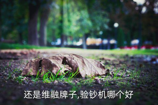 还是维融牌子,验钞机哪个好