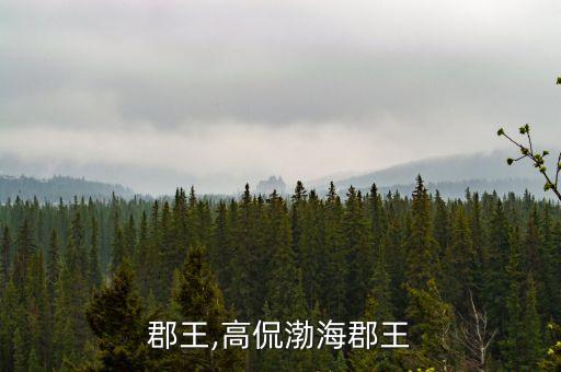 渤海郡王,高侃渤海郡王