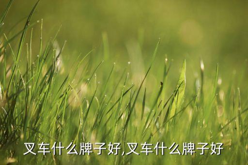 都有叉车什么牌子好,叉车什么牌子好?