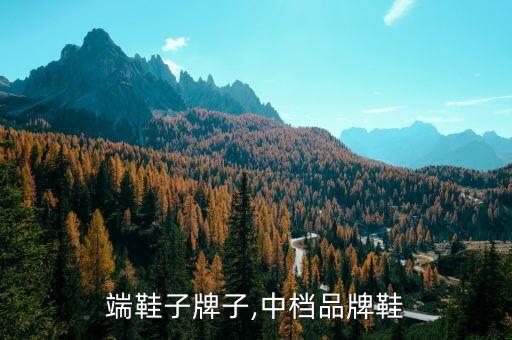 端鞋子牌子,中档品牌鞋