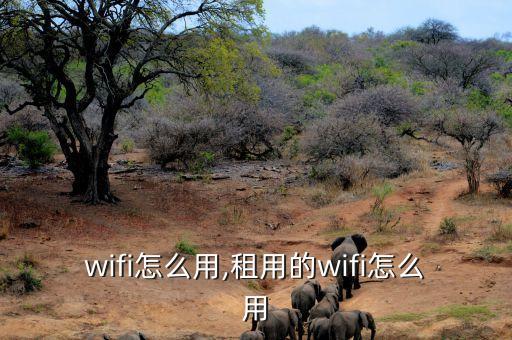 wifi怎么用,租用的wifi怎么用