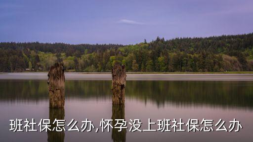 没上班社保怎么办,怀孕没上班社保怎么办