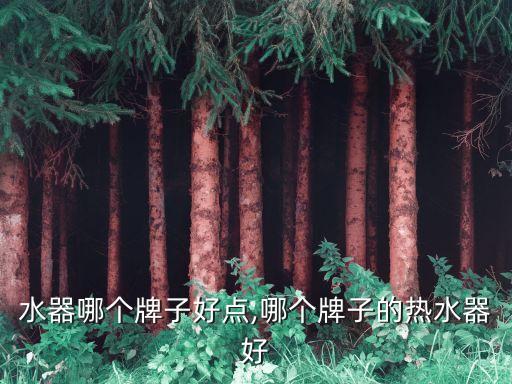 水器哪个牌子好点,哪个牌子的热水器好
