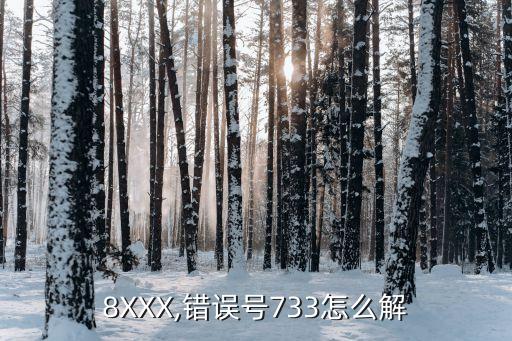 8XXX,错误号733怎么解
