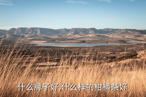 什么牌子好,什么样的柑橘茶好