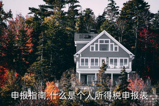 申报指南,什么是个人所得税申报表