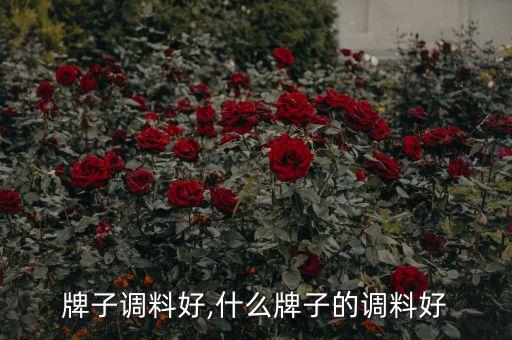 哪个牌子调料好,什么牌子的调料好?