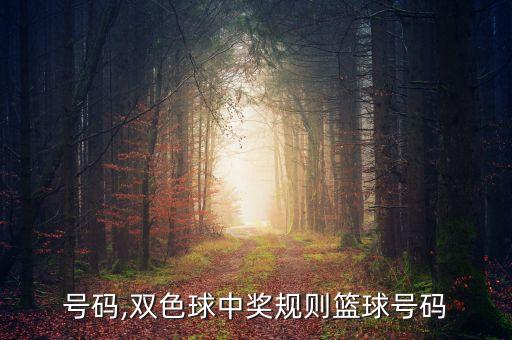 篮球号码,双色球中奖规则篮球号码