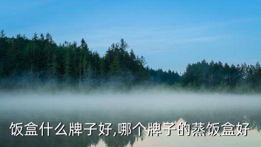 电蒸饭盒什么牌子好,哪个牌子的蒸饭盒好?