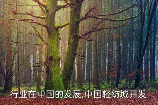 行业在中国的发展,中国轻纺城开发