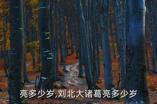 诸葛亮多少岁,刘北大诸葛亮多少岁