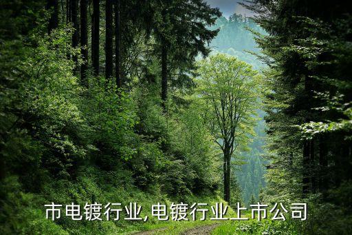 洛阳市电镀行业,电镀行业上市公司