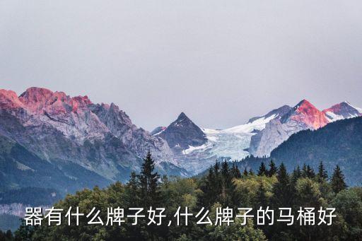 起坐器有什么牌子好,什么牌子的马桶好?