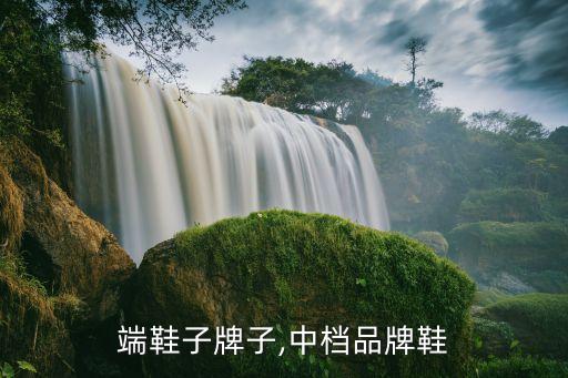 端鞋子牌子,中档品牌鞋