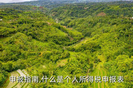 个税申报指南,什么是个人所得税申报表?