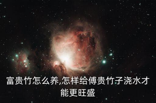 水培富贵竹怎么养,怎样给傅贵竹子浇水才能更旺盛?