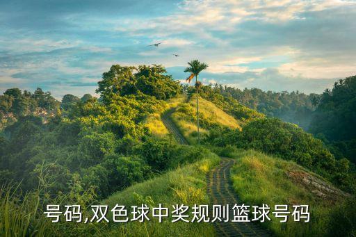 号码,双色球中奖规则篮球号码
