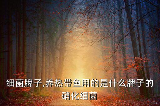 硝化细菌牌子,养热带鱼用的是什么牌子的硝化细菌