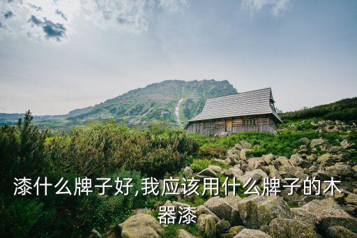 木柜漆什么牌子好,我应该用什么牌子的木器漆?