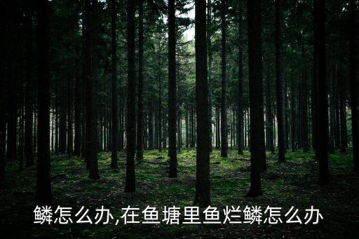 鱼烂鳞怎么办,在鱼塘里鱼烂鳞怎么办
