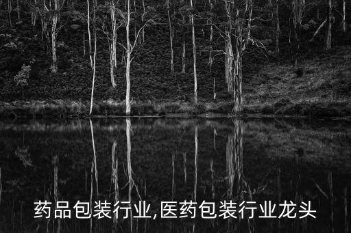 中国药品包装行业,医药包装行业龙头