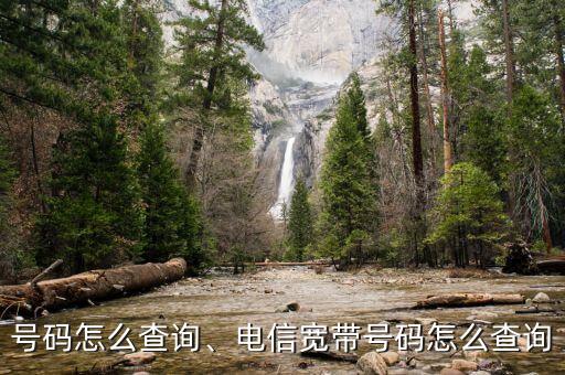 号码怎么查询、电信宽带号码怎么查询
