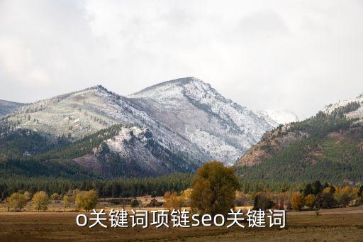 seo关键词项链seo关键词