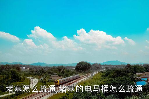 堵塞怎么疏通,堵塞的电马桶怎么疏通