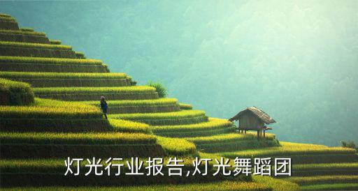 舞美灯光行业报告,灯光舞蹈团