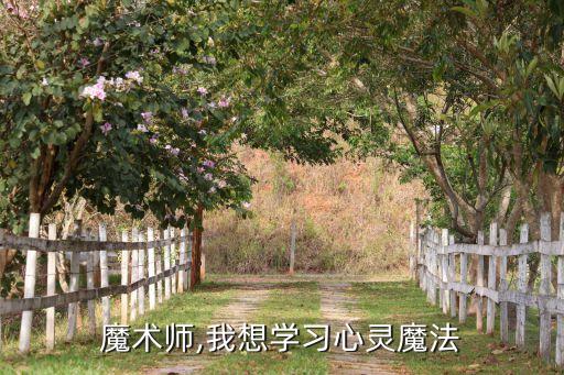 心灵魔术师,我想学习心灵魔法