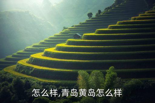 怎么样,青岛黄岛怎么样