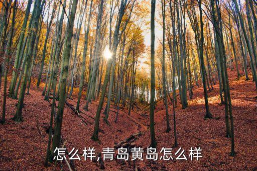 怎么样,青岛黄岛怎么样