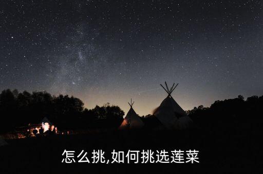 莲菜怎么挑,如何挑选莲菜