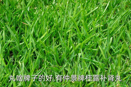 龟鹿丸啥牌子的好,有仲景牌桂露补肾丸